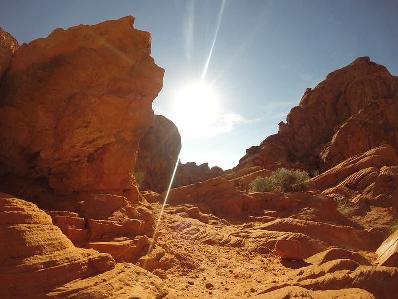 Difference Between Algorithm and Model in Machine Learning - MachineLearningMastery.com