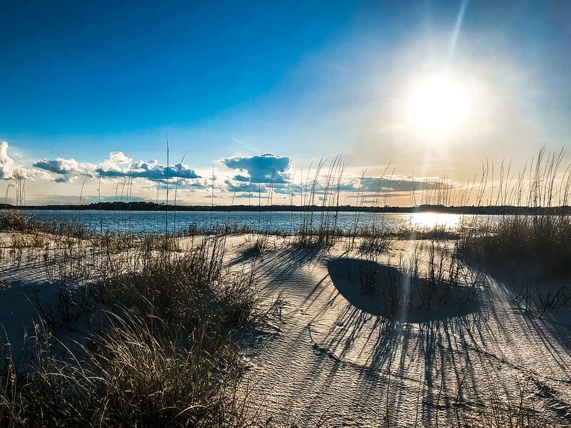 Multi-Label Classification with Deep Learning - MachineLearningMastery.com