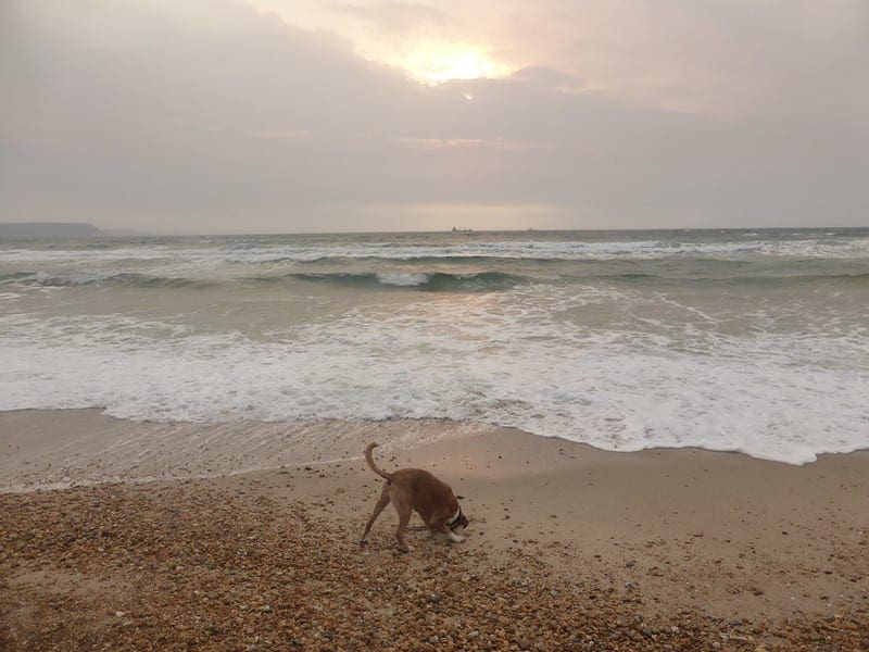 Nested Cross-Validation for Machine Learning with Python - MachineLearningMastery.com