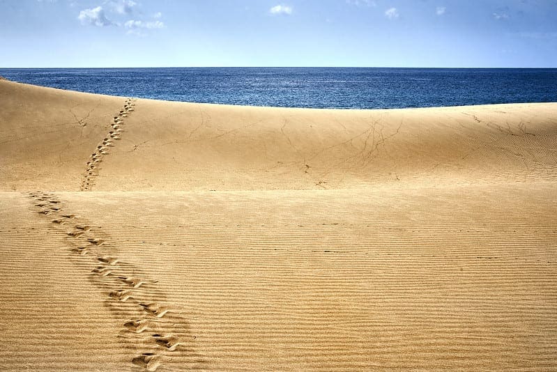 Linear Discriminant Analysis With Python - MachineLearningMastery.com