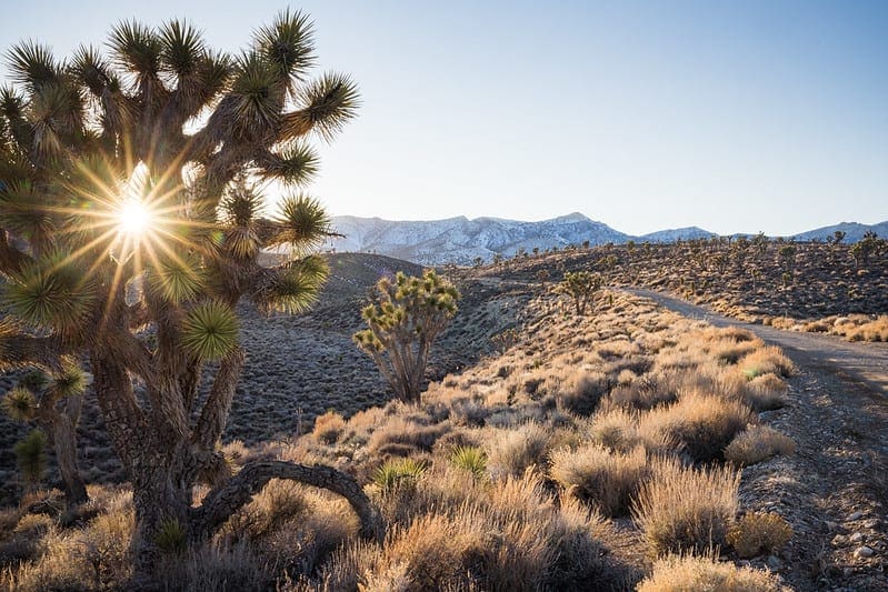 A Gentle Introduction to Ensemble Learning - MachineLearningMastery.com