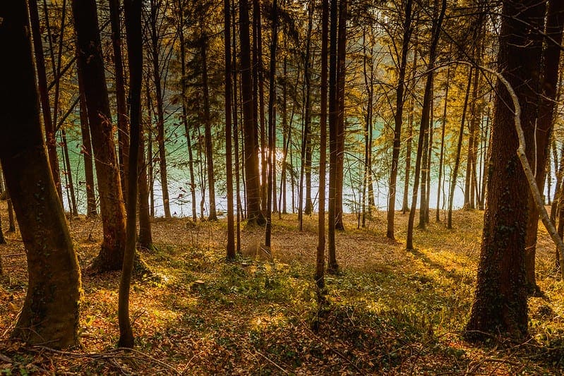 Semi-Supervised Learning With Label Spreading - MachineLearningMastery.com