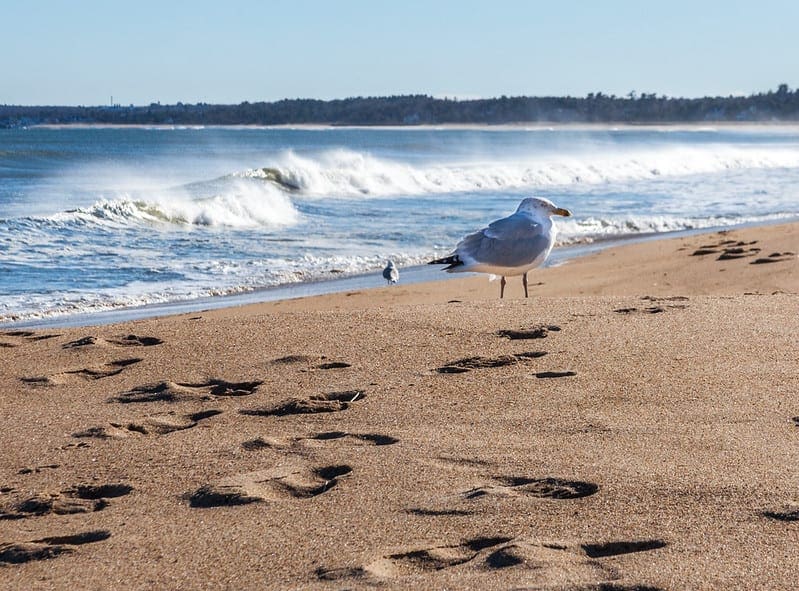 What Is Semi-Supervised Learning - MachineLearningMastery.com