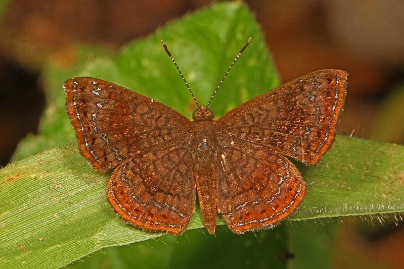 How to Update Neural Network Models With More Data - MachineLearningMastery.com