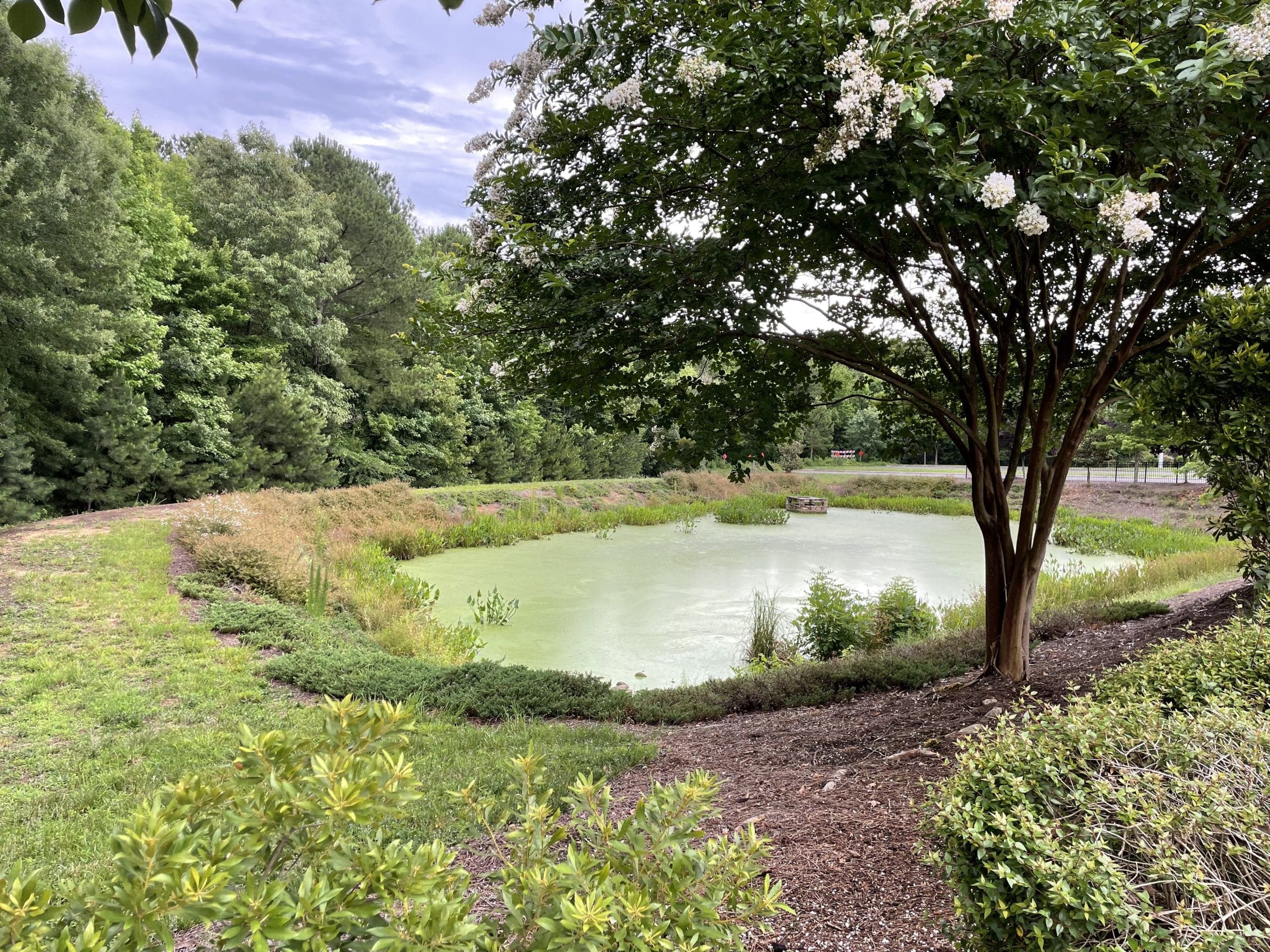 A Gentle Introduction to Indeterminate Forms and L’Hospital’s Rule - MachineLearningMastery.com