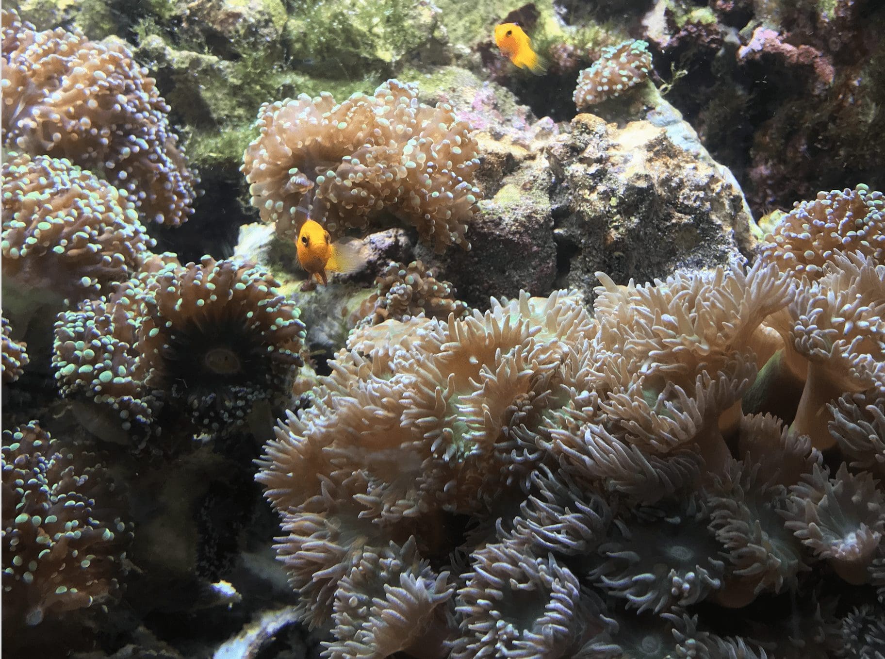 A Gentle Introduction To Sigmoid Function - MachineLearningMastery.com